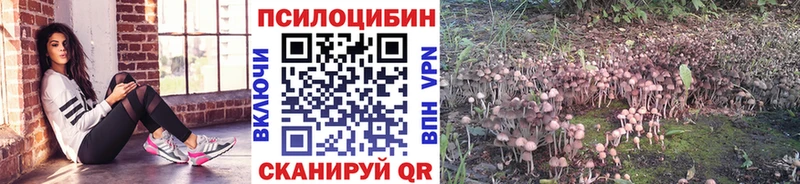гидра ТОР  Лабинск  Псилоцибиновые грибы мухоморы 